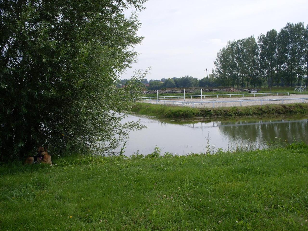 Nagybajcsi Lovaspark Es Otthon Vendeghaz Eksteriør billede